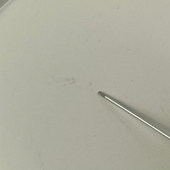 Nancy Calhoun Plate White Japan Stoneware Dessert Salad Replacement Vintage - Picture 5 of 7